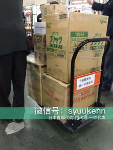 日本正品直邮与现货 开启国内贸易代理新机遇